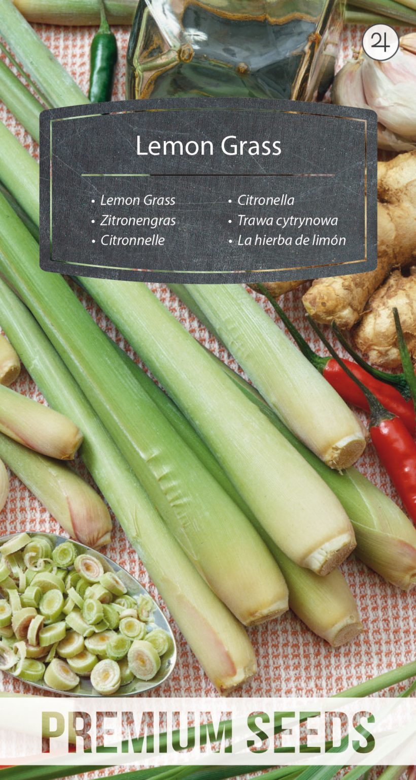Lemon Grass PremiumSeeds producer of seeds