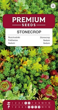 Stonecrop Mix – seeds