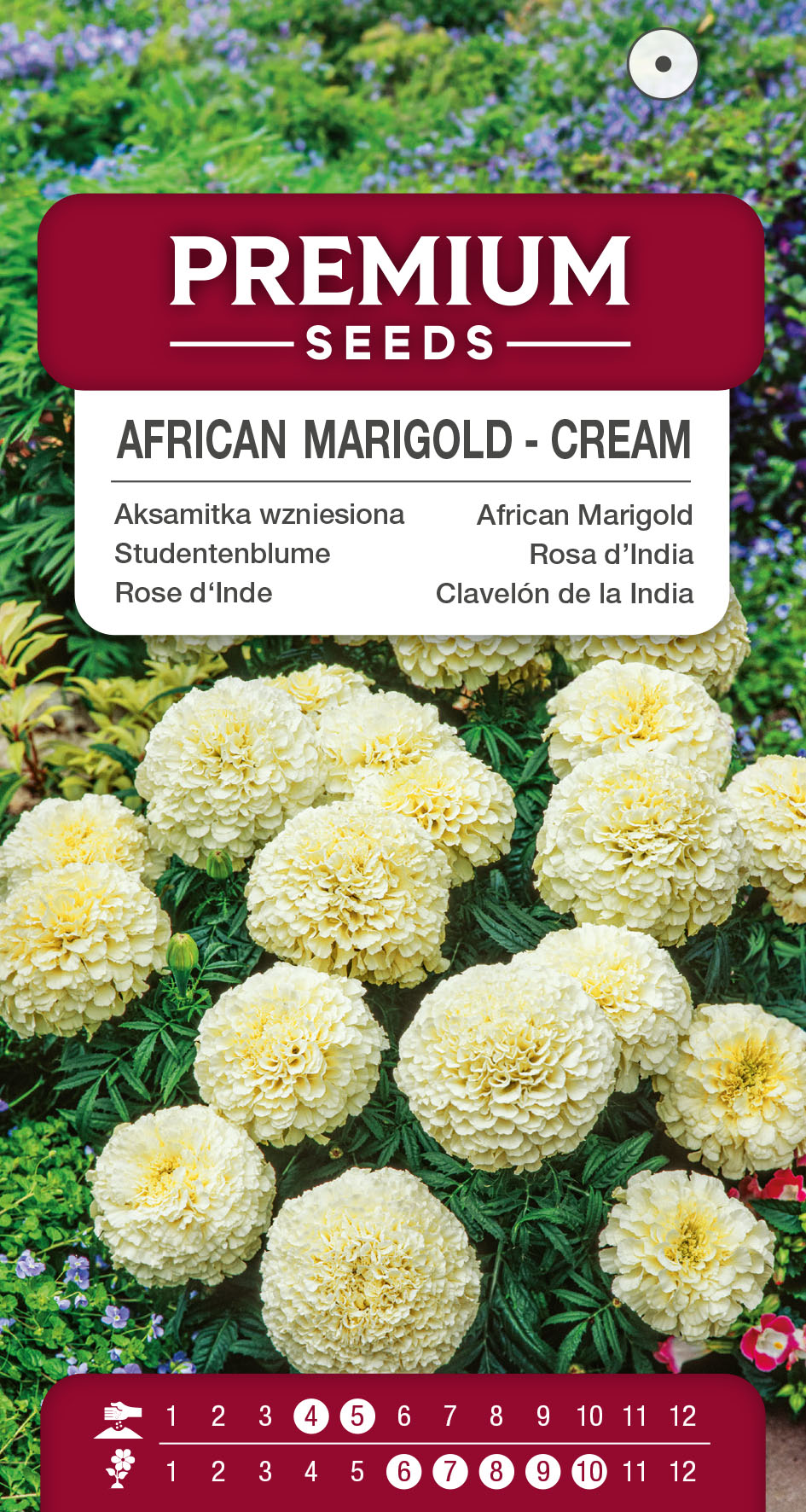 SWIA-WO-BL-12057_VS African Marigold – Cream – seeds