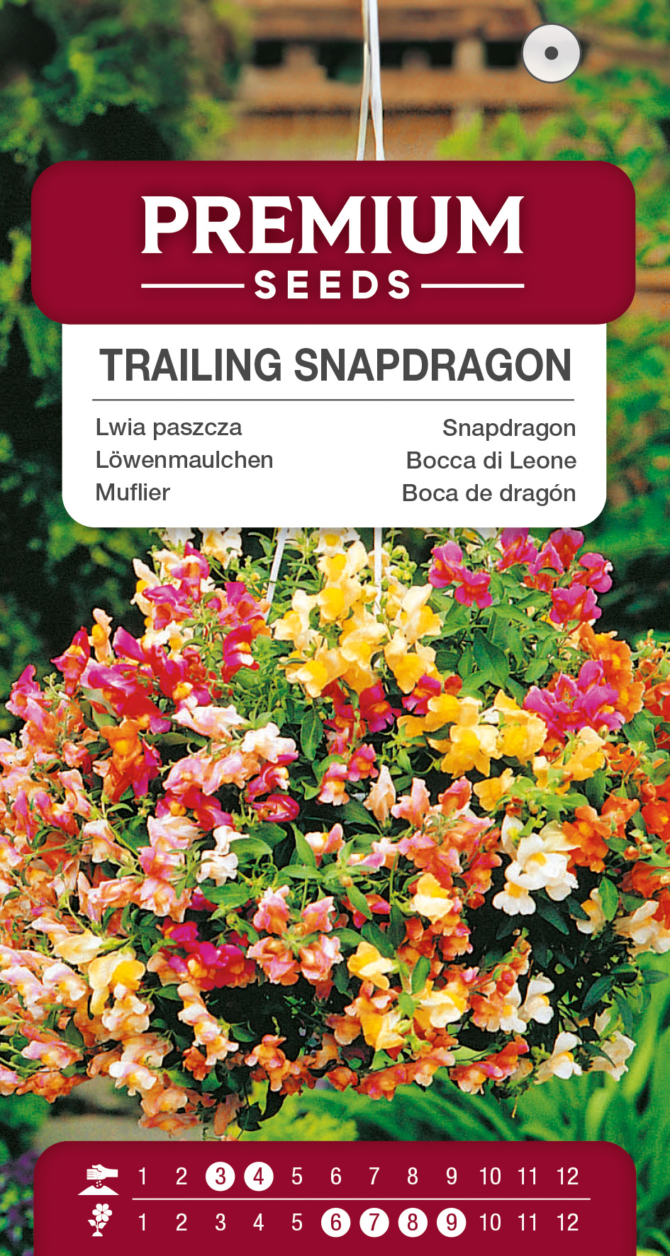 SWIA-WO-BL-12070_VS Trailing Snapdragon – seeds