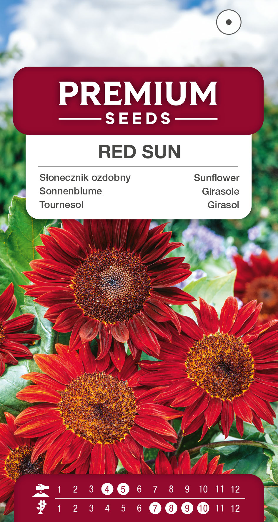 SWIA-WO-BL-12078_VS Ornamental Sunflower Red Sun – seeds