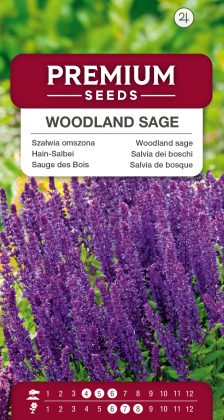 Woodland sage – seeds
