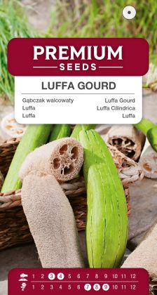 Luffa Gourd, Sponge Gourd – seeds