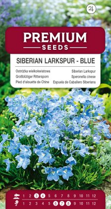 Siberian Larkspur – blue – seeds