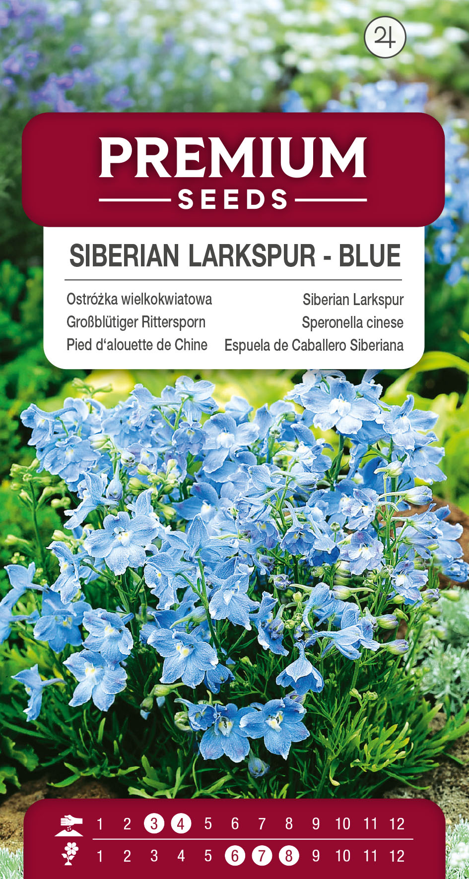 SWIA-WO-BL-12115_VS Siberian Larkspur – blue – seeds