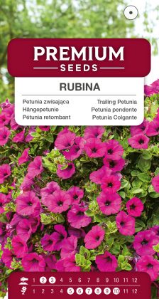 Trailing Petunia Rubina – seeds