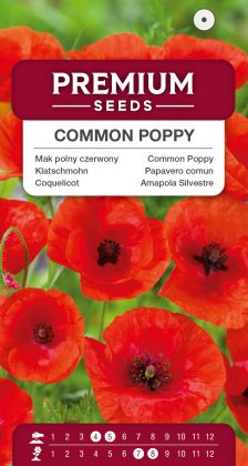 Common Poppy – seeds