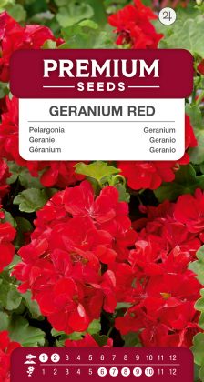 Geranium Red – seeds