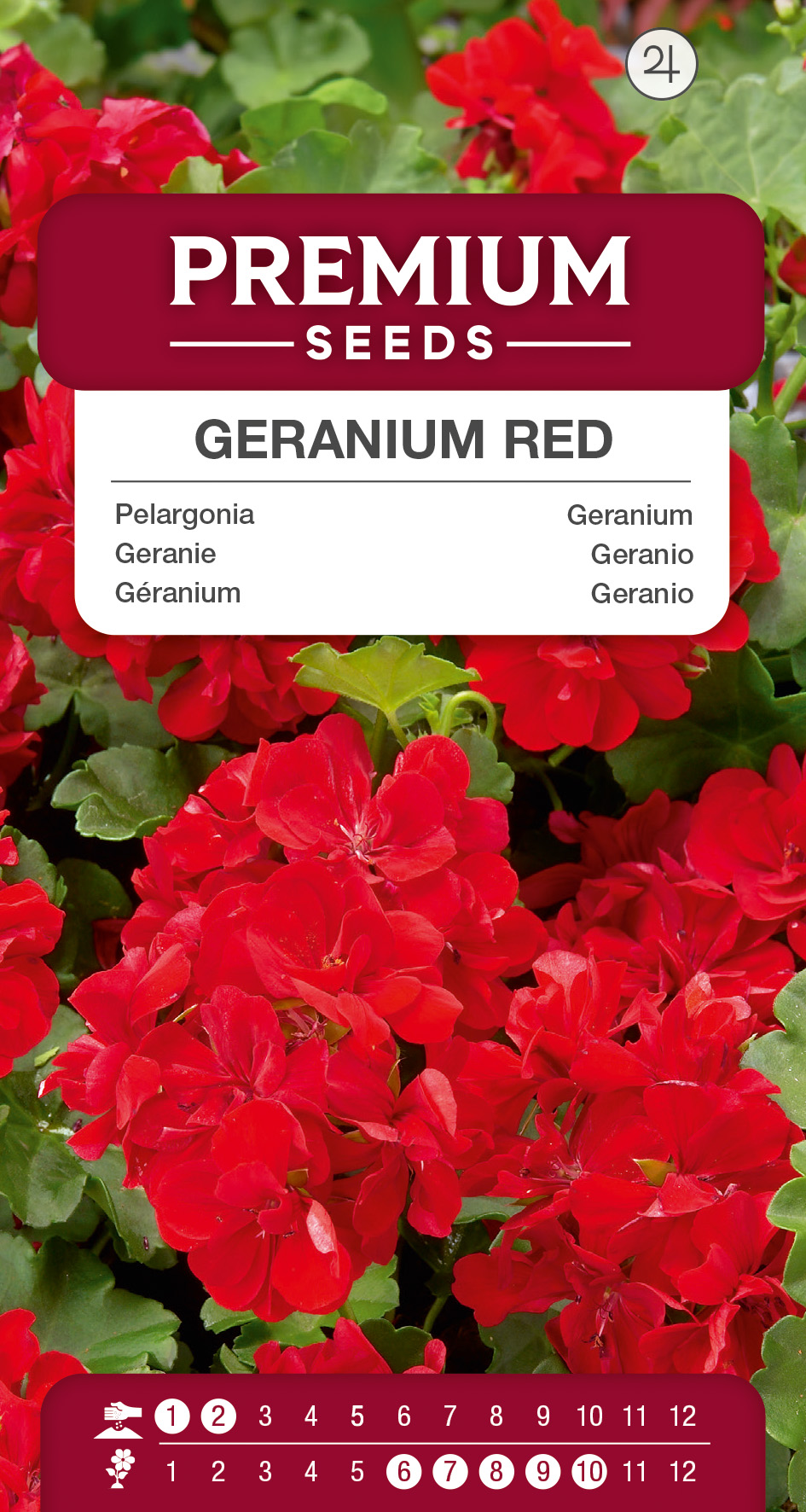 SWIA-WO-BL-12183_VS Geranium Red – seeds