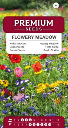 Flowery Meadow – a seed mix of over 40 species – seeds