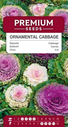 Cabbage Ornamental Mixed – seeds