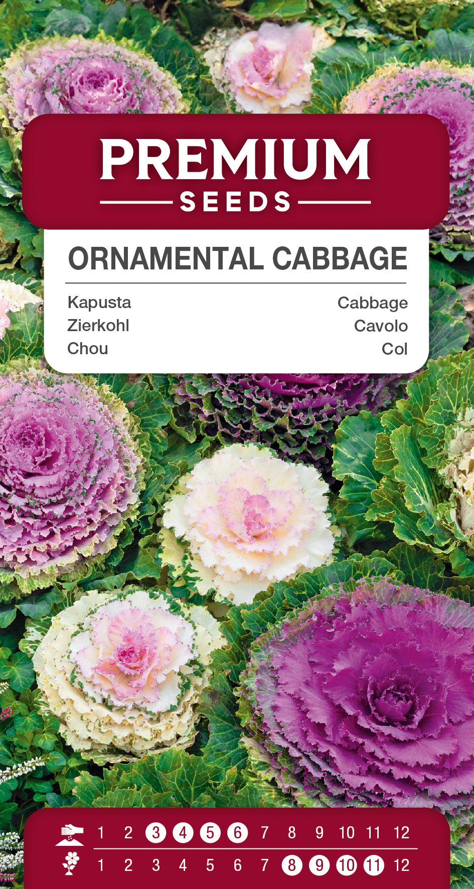 SWIA-WO-BL-12192_VS Cabbage Ornamental Mixed – seeds