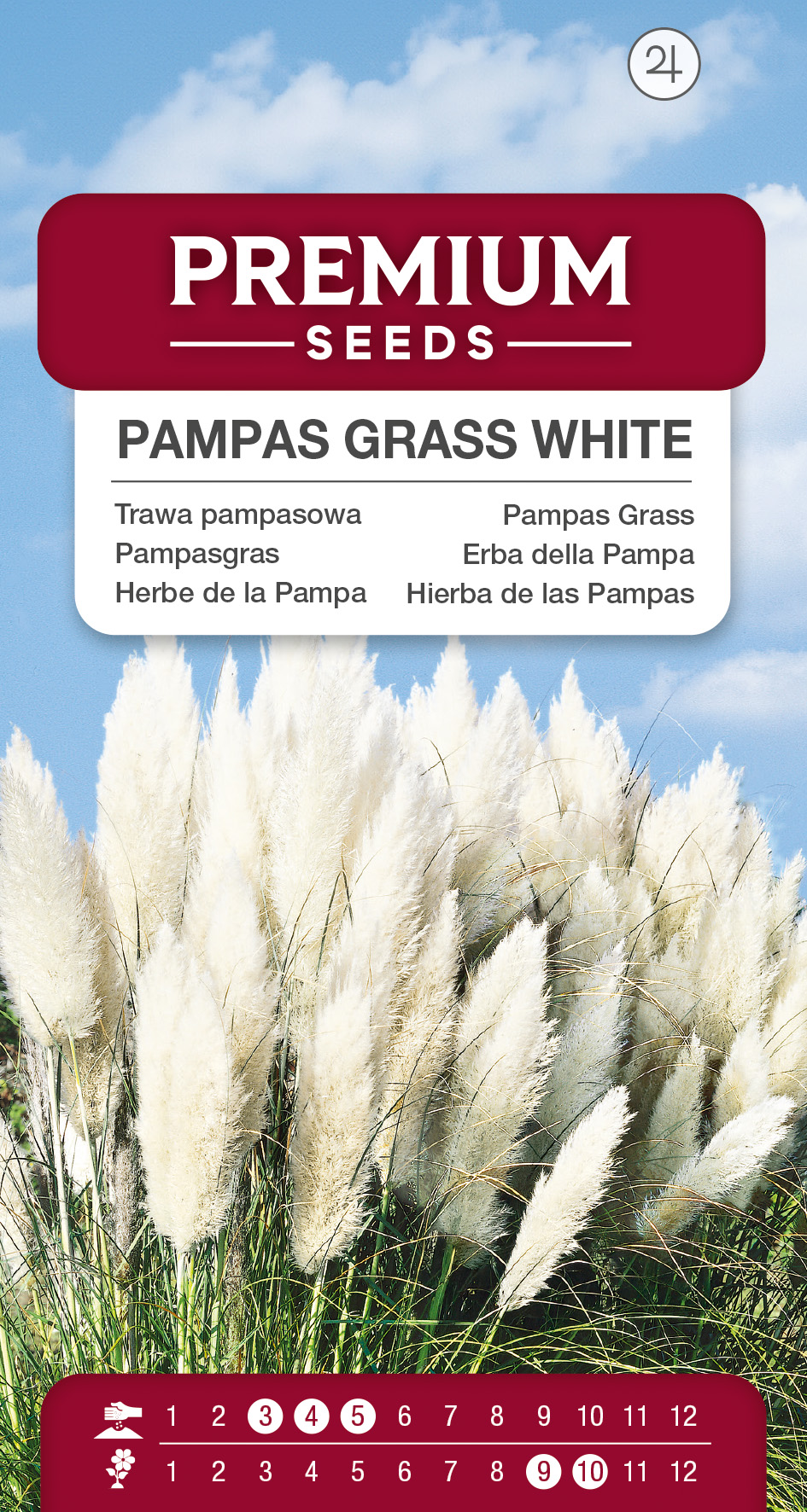 SWIA-WO-BL-12203_VS Pampas Grass White – seeds