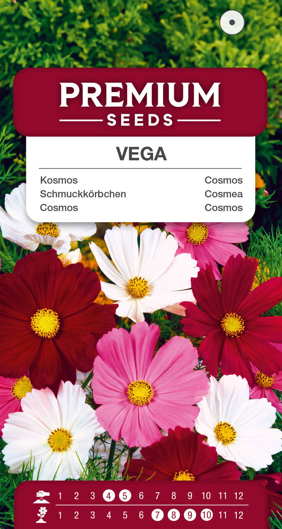SWIA-WO-BL-12209_VS Cosmos Vega Mixed – seeds