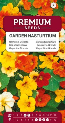 Garden Nasturtium – seeds