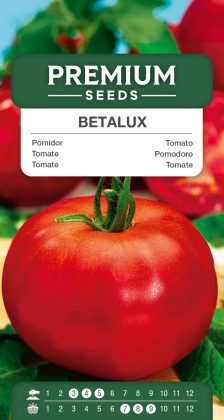 Tomato Betalux – seeds