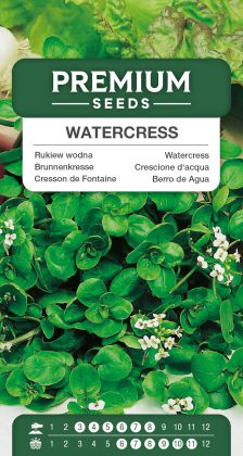 Watercress – seeds
