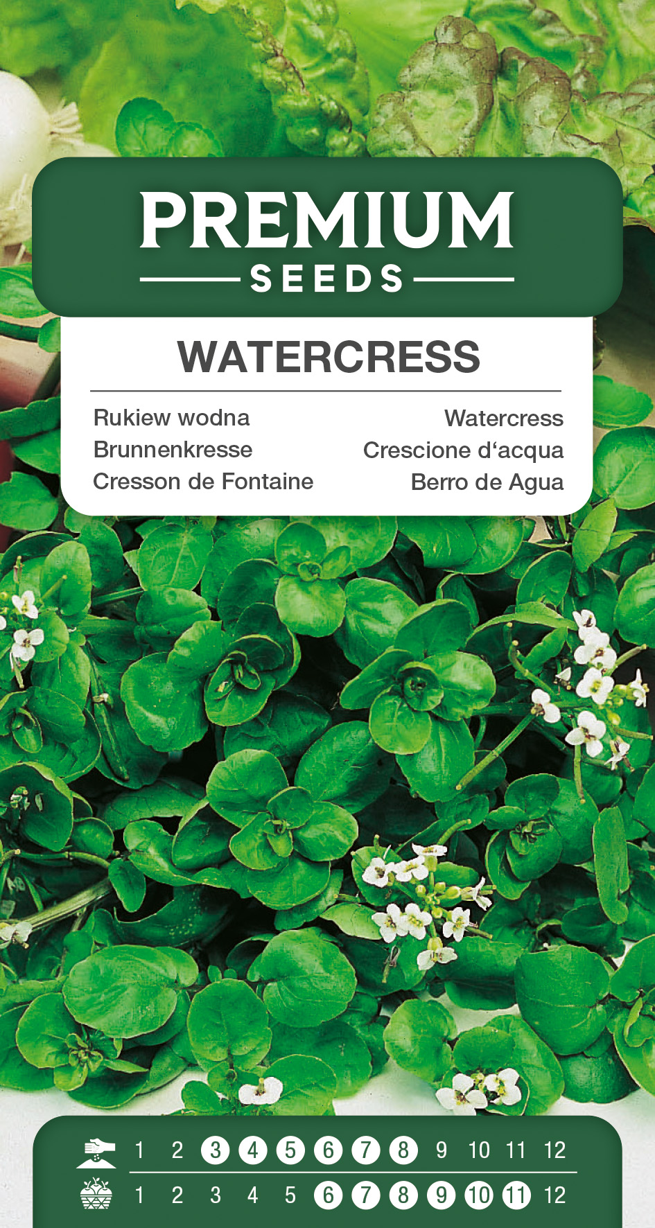 SWIA-WO-GE-11035_VS Watercress – seeds