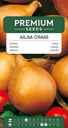 Onion Ailsa Craig – seeds