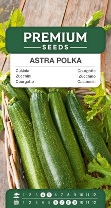 Zucchini Astra Polka – seeds