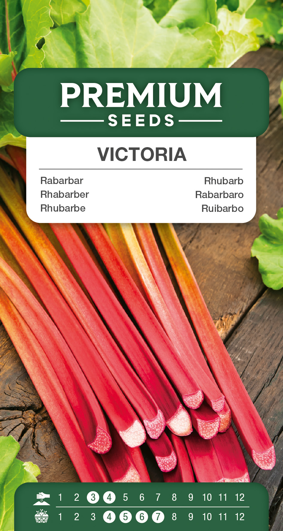 SWIA-WO-GE-11109_VS Rhubarb Victoria – seeds