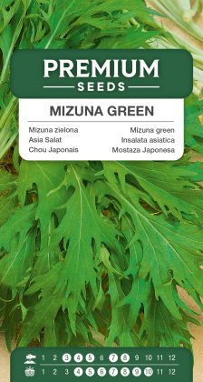 Mizuna Green – seeds