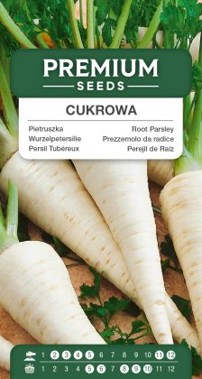 Root Parsley Cukrowa – seeds