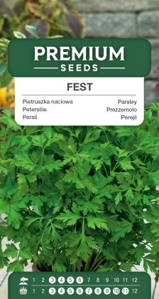 Parsley Fest – seeds