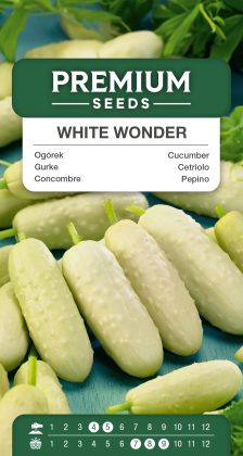 Cucumber White Wonder – seeds