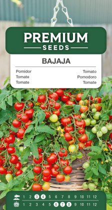 Tomato Bajaja – seeds