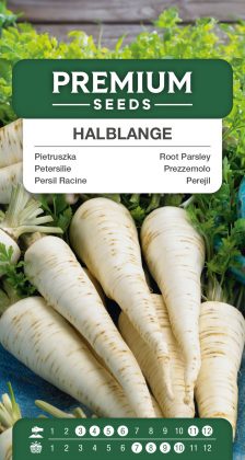 Root Parsley Berliner Halblange – seeds