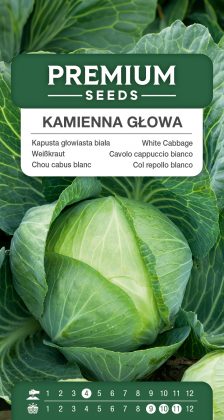 White Cabbage STONE HEAD (“Kamienna Głowa”) – seeds