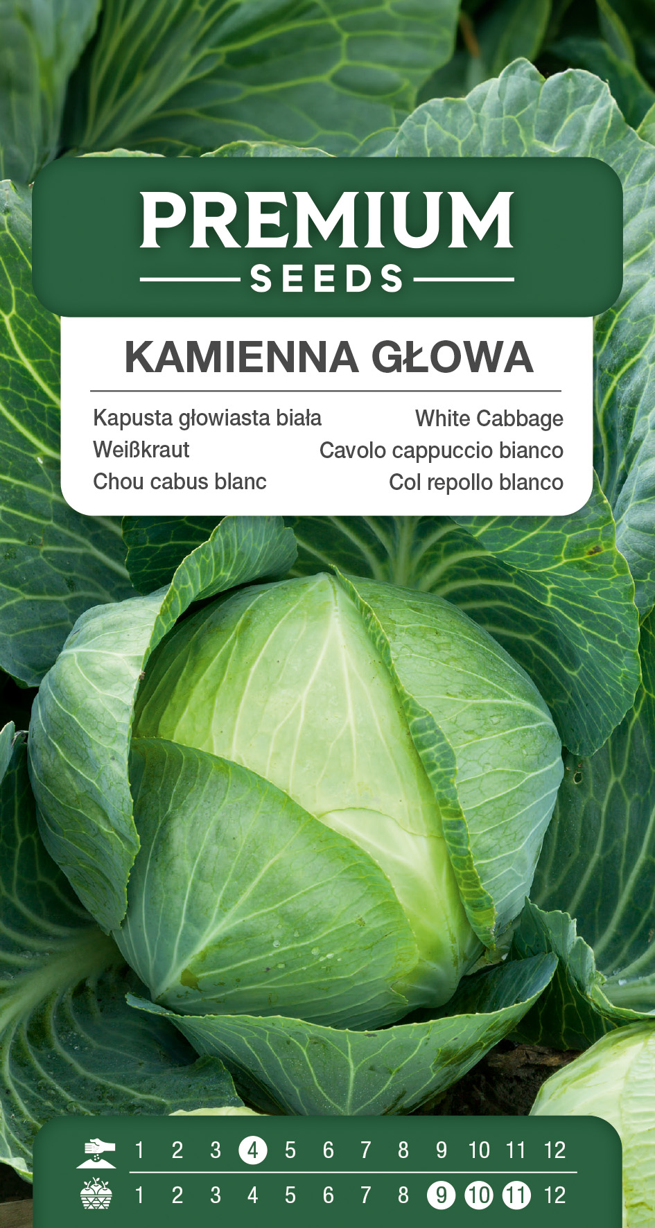SWIA-WO-GE-11224_VS White Cabbage STONE HEAD (“Kamienna Głowa”) – seeds