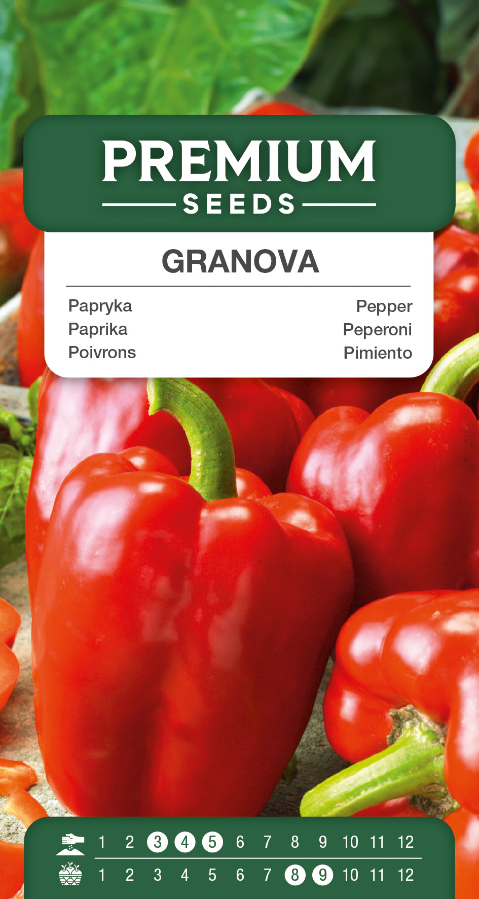 SWIA-WO-GE-11230_VS Pepper Granova – seeds