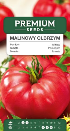 Tomato Raspberry Giant – seeds