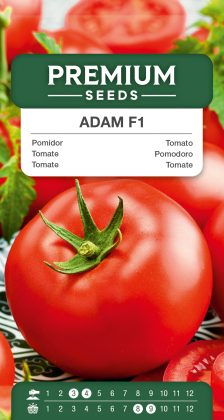 Tomato Adam F1 – seeds