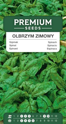 Spinach Winter Giant – seeds