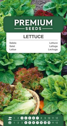 Lettuce – a selection of varieties – seeds