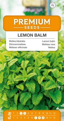 Lemon balm – seeds
