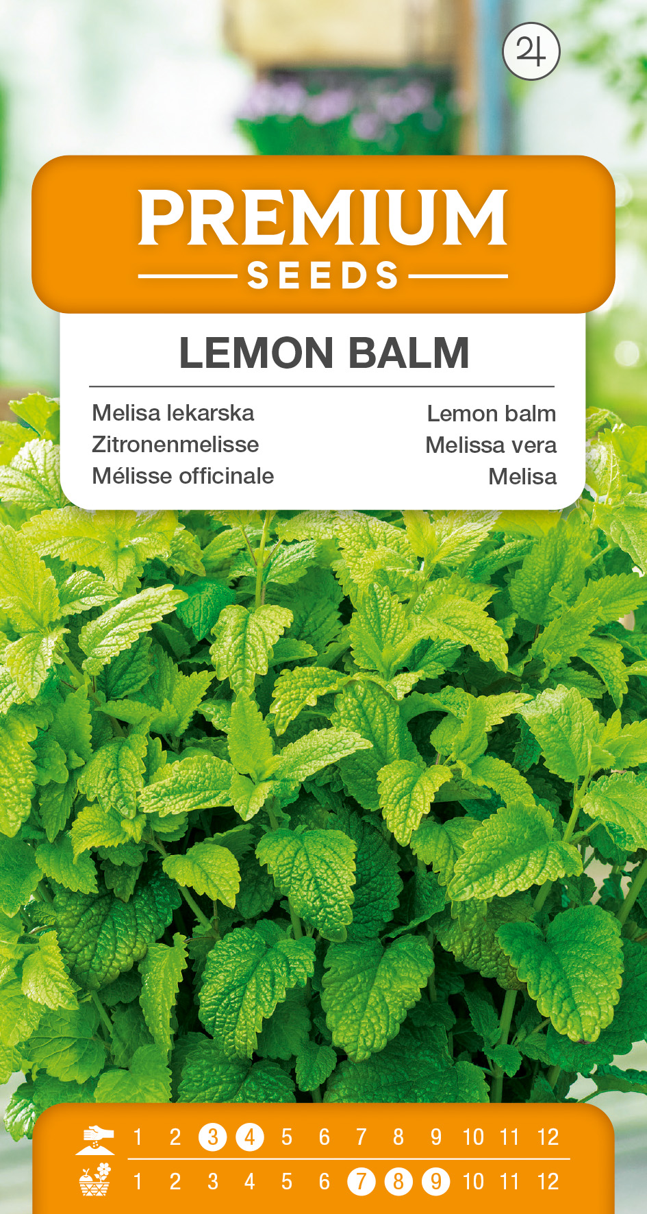 SWIA-WO-KR-13016_VS Lemon balm – seeds