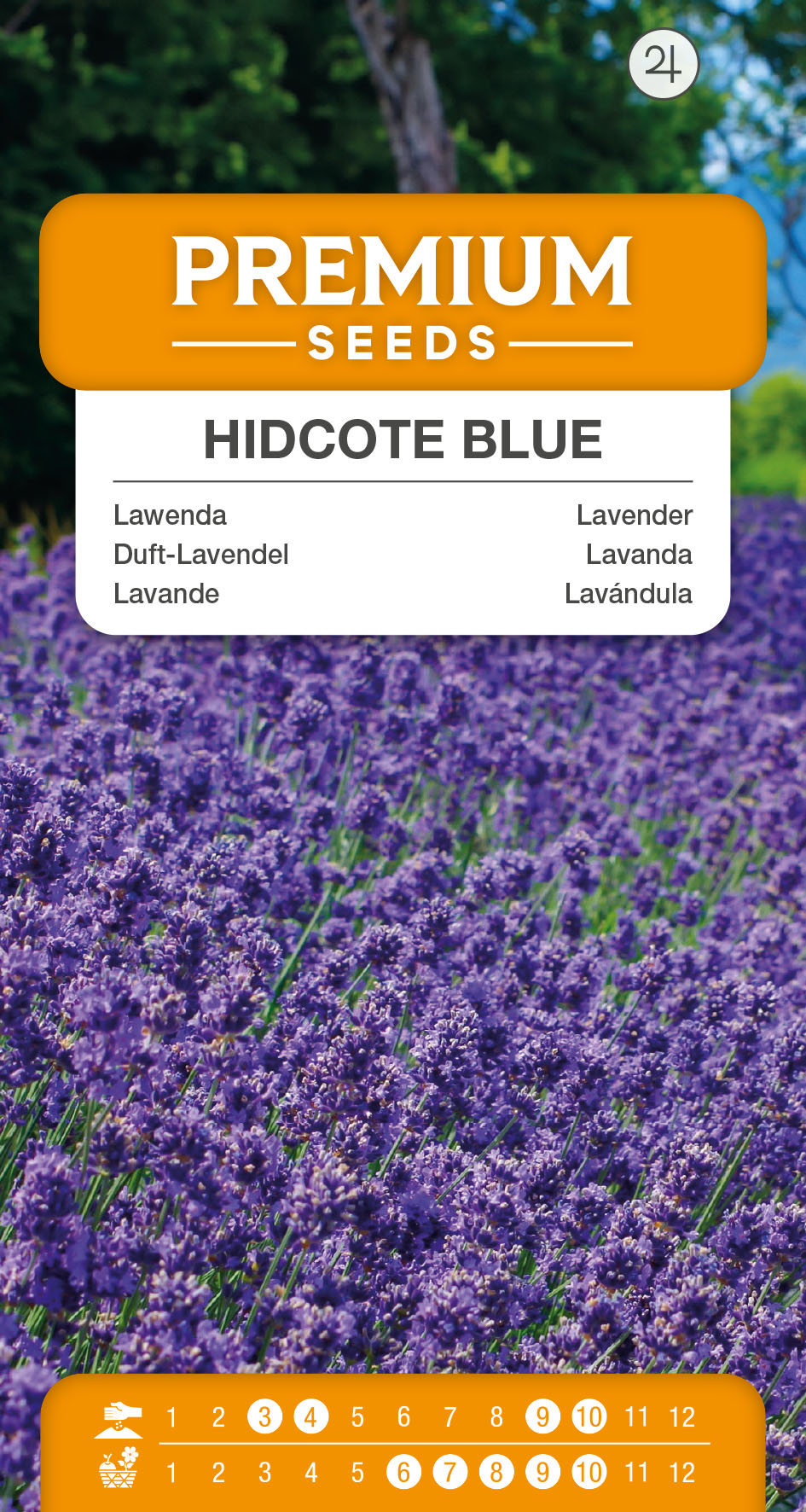 SWIA-WO-KR-13018_VS Lavender Hidcote Blue – seeds