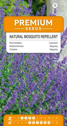 Catmint – A natural mosquito repellent – seeds