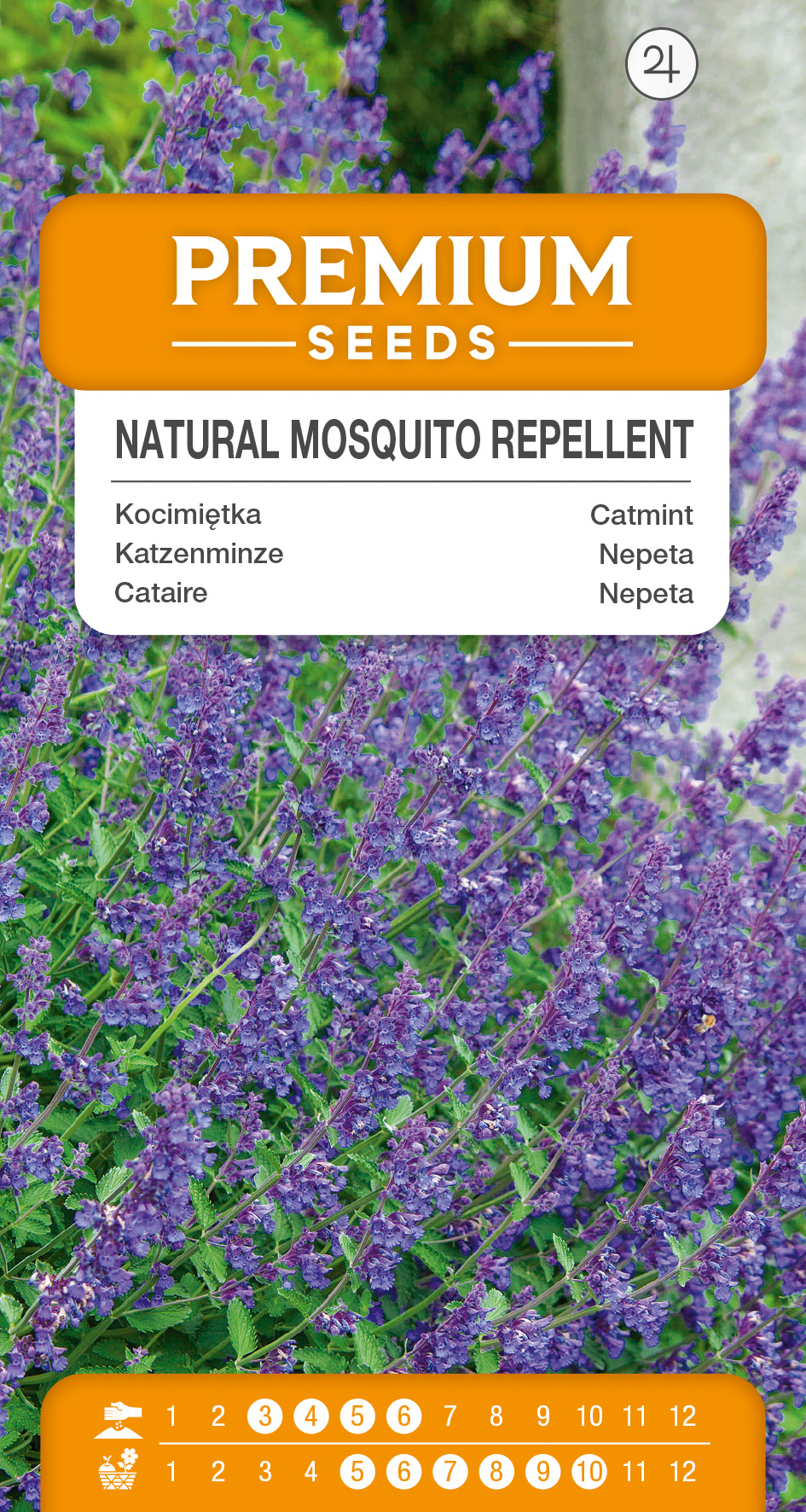 SWIA-WO-KR-13020_VS Catmint – A natural mosquito repellent – seeds