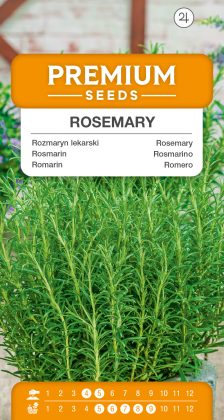 Rosemary – seeds