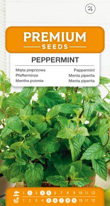 Peppermint – seeds