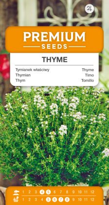 Thyme – seeds
