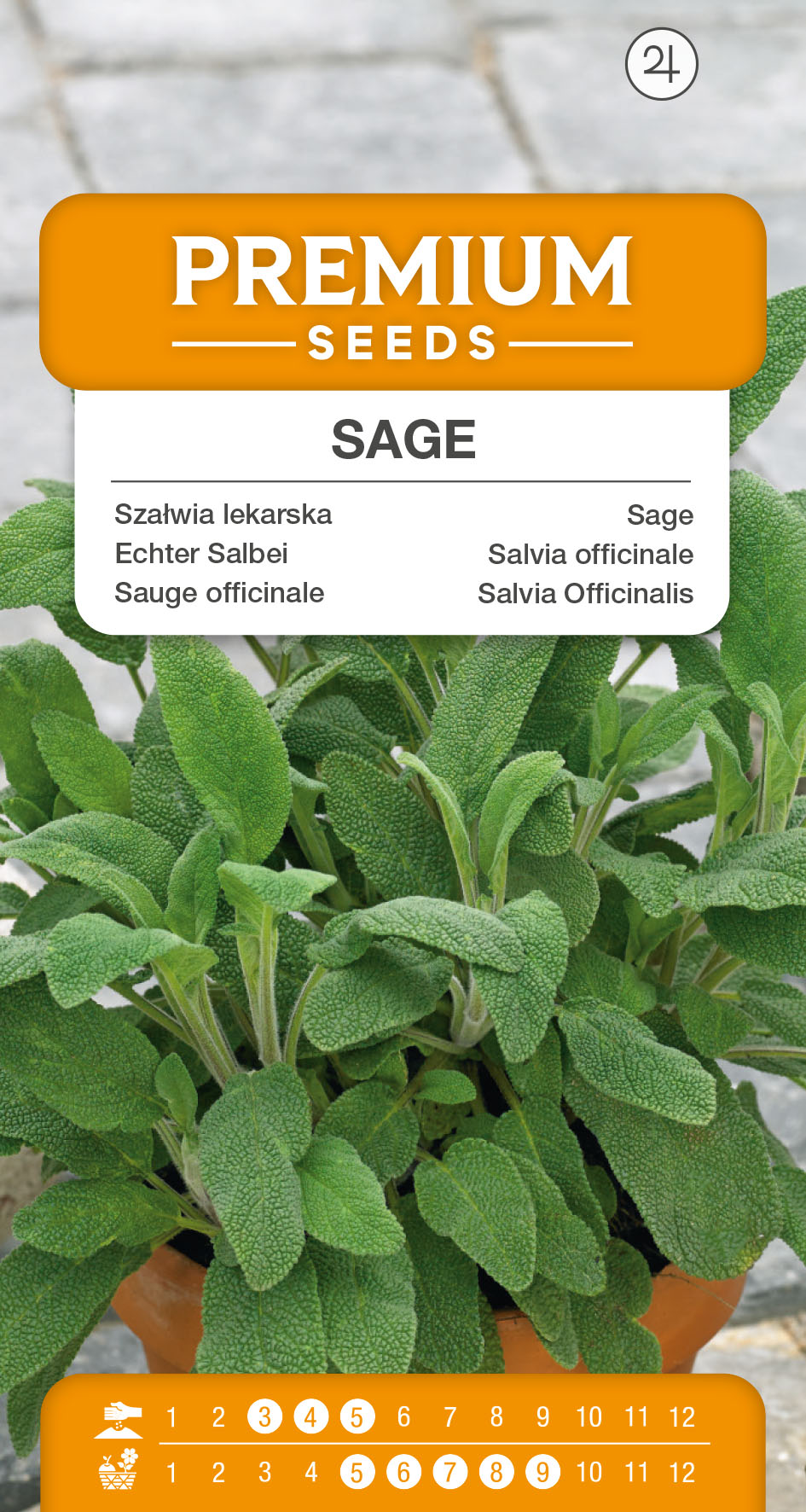 SWIA-WO-KR-13047_VS Sage – seeds