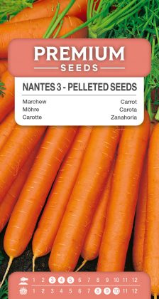 Carrot Nantes 3 – PELLETED SEEDS
