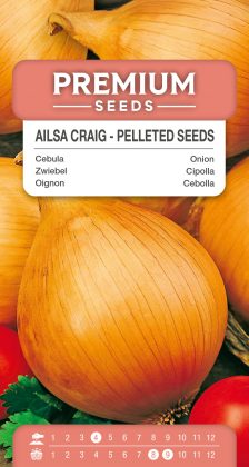 Onion Ailsa Craig – PELLETED SEEDS