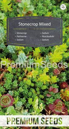 Stonecrop Mix - seeds